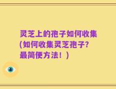 灵芝上的孢子如何收集(如何收集灵芝孢子？最简便方法！)