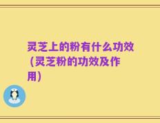 灵芝上的粉有什么功效 (灵芝粉的功效及作用)