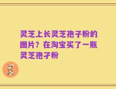 灵芝上长灵芝孢子粉的图片？在淘宝买了一瓶灵芝孢孑粉