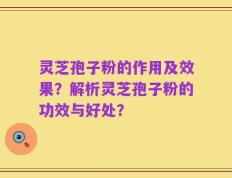 灵芝孢子粉的作用及效果？解析灵芝孢子粉的功效与好处？