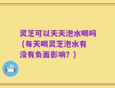 灵芝可以天天泡水喝吗 (每天喝灵芝泡水有没有负面影响？)