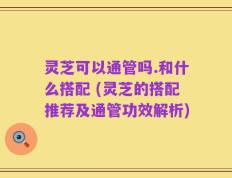 灵芝可以通管吗.和什么搭配 (灵芝的搭配推荐及通管功效解析)