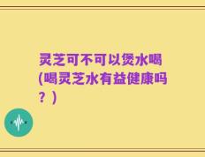 灵芝可不可以煲水喝 (喝灵芝水有益健康吗？)