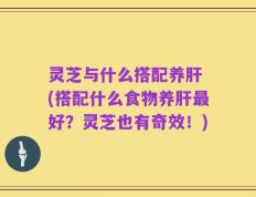 灵芝与什么搭配养肝 (搭配什么食物养肝最好？灵芝也有奇效！)