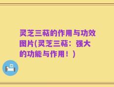 灵芝三萜的作用与功效图片(灵芝三萜：强大的功能与作用！)