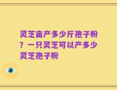 灵芝亩产多少斤孢子粉？一只灵芝可以产多少灵芝孢子粉