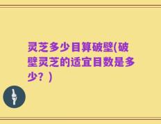 灵芝多少目算破壁(破壁灵芝的适宜目数是多少？)