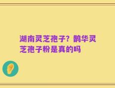 湖南灵芝孢子？鹊华灵芝孢子粉是真的吗