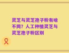 灵芝与灵芝孢子粉有啥不同？人工种植灵芝与灵芝孢子粉区别
