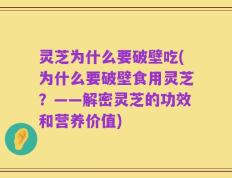 灵芝为什么要破壁吃(为什么要破壁食用灵芝？——解密灵芝的功效和营养价值)
