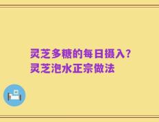 灵芝多糖的每日摄入？灵芝泡水正宗做法