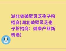 湖北省破壁灵芝孢子粉招商(湖北破壁灵芝孢子粉招商：健康产业新机遇)