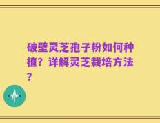 破壁灵芝孢子粉如何种植？详解灵芝栽培方法？