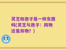 灵芝和孢子是一样东西吗(灵芝与孢子：同物还是异物？)