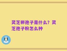 灵芝卵孢子是什么？灵芝孢子粉怎么种