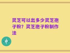 灵芝可以出多少灵芝孢子粉？灵芝孢子粉制作法