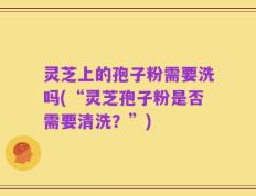 灵芝上的孢子粉需要洗吗(“灵芝孢子粉是否需要清洗？”)