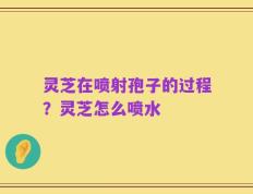 灵芝在喷射孢子的过程？灵芝怎么喷水