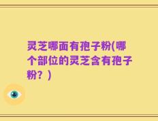 灵芝哪面有孢子粉(哪个部位的灵芝含有孢子粉？)
