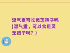 湿气重可吃灵芝孢子吗(湿气重，可以食用灵芝孢子吗？)