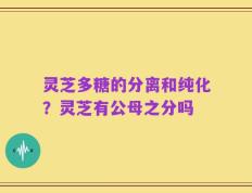 灵芝多糖的分离和纯化？灵芝有公母之分吗