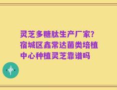 灵芝多糖肽生产厂家？宿城区鑫常达菌类培植中心种植灵芝靠谱吗