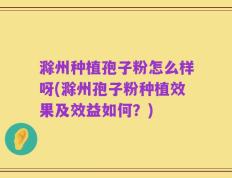 滁州种植孢子粉怎么样呀(滁州孢子粉种植效果及效益如何？)
