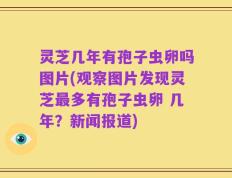灵芝几年有孢子虫卵吗图片(观察图片发现灵芝最多有孢子虫卵 几年？新闻报道)