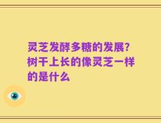 灵芝发酵多糖的发展？树干上长的像灵芝一样的是什么