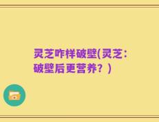 灵芝咋样破壁(灵芝：破壁后更营养？)