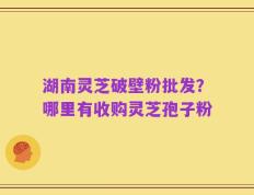 湖南灵芝破壁粉批发？哪里有收购灵芝孢子粉