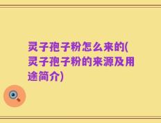 灵子孢子粉怎么来的(灵子孢子粉的来源及用途简介)