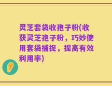 灵芝套袋收孢子粉(收获灵芝孢子粉，巧妙使用套袋捕捉，提高有效利用率)