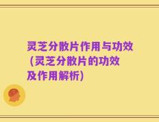 灵芝分散片作用与功效 (灵芝分散片的功效及作用解析)