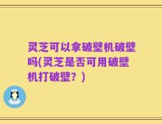灵芝可以拿破壁机破壁吗(灵芝是否可用破壁机打破壁？)