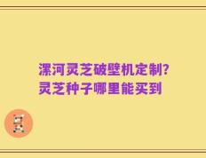 漯河灵芝破壁机定制？灵芝种子哪里能买到