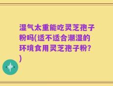 湿气太重能吃灵芝孢子粉吗(适不适合潮湿的环境食用灵芝孢子粉？)