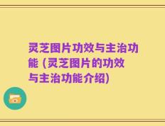 灵芝图片功效与主治功能 (灵芝图片的功效与主治功能介绍)