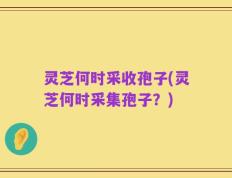 灵芝何时采收孢子(灵芝何时采集孢子？)