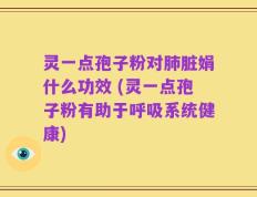 灵一点孢子粉对肺脏娟什么功效 (灵一点孢子粉有助于呼吸系统健康)