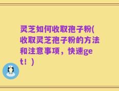 灵芝如何收取孢子粉(收取灵芝孢子粉的方法和注意事项，快速get！)
