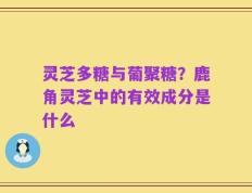 灵芝多糖与葡聚糖？鹿角灵芝中的有效成分是什么