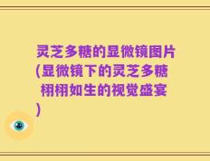 灵芝多糖的显微镜图片(显微镜下的灵芝多糖 栩栩如生的视觉盛宴)