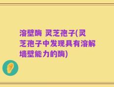 溶壁酶 灵芝孢子(灵芝孢子中发现具有溶解墙壁能力的酶)