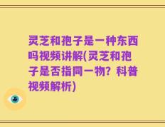 灵芝和孢子是一种东西吗视频讲解(灵芝和孢子是否指同一物？科普视频解析)