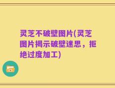 灵芝不破壁图片(灵芝图片揭示破壁迷思，拒绝过度加工)
