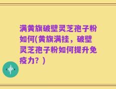 满黄旗破壁灵芝孢子粉如何(黄旗满挂，破壁灵芝孢子粉如何提升免疫力？)