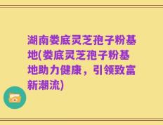 湖南娄底灵芝孢子粉基地(娄底灵芝孢子粉基地助力健康，引领致富新潮流)