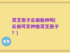 灵芝孢子云南能种吗(云南可否种植灵芝孢子？)