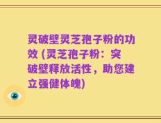 灵破壁灵芝孢子粉的功效 (灵芝孢子粉：突破壁释放活性，助您建立强健体魄)